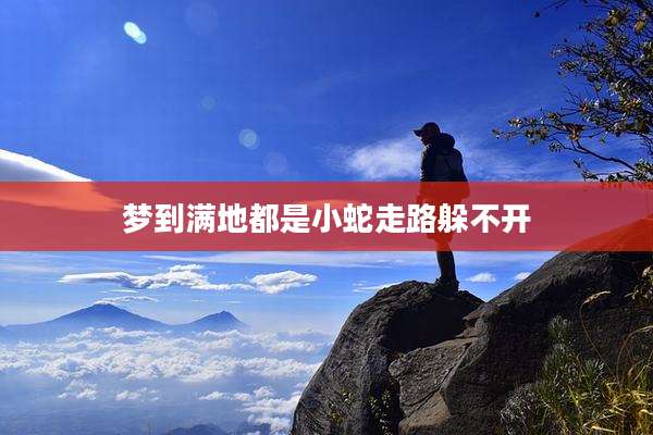 梦到满地都是小蛇走路躲不开