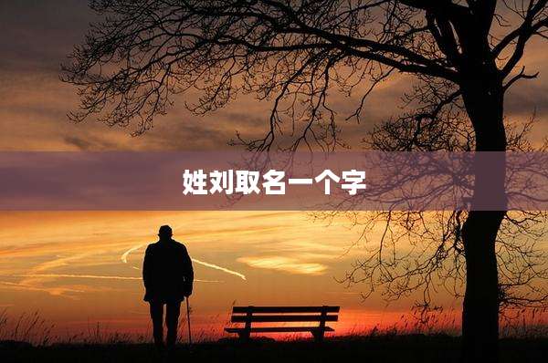 姓刘取名一个字