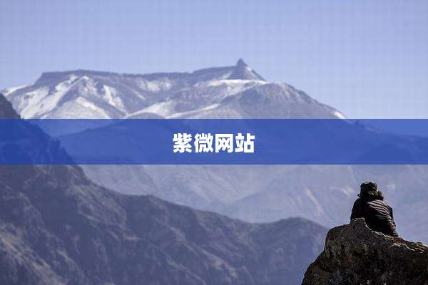 紫微网站