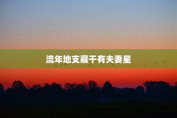 流年地支藏干有夫妻星
