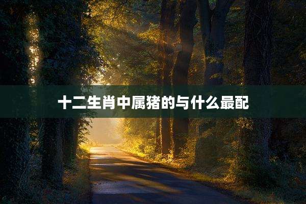 十二生肖中属猪的与什么最配