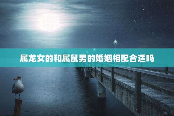 属龙女的和属鼠男的婚姻相配合适吗