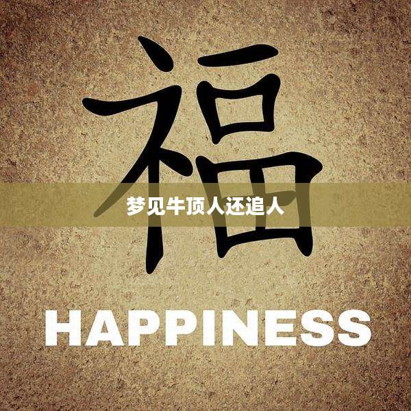 梦见牛顶人还追人