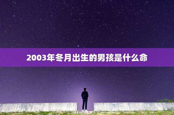 2003年冬月出生的男孩是什么命