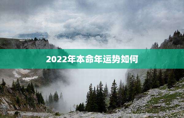 2022年本命年运势如何