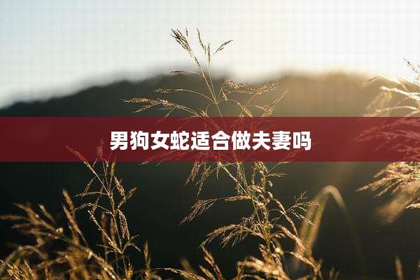 男狗女蛇适合做夫妻吗