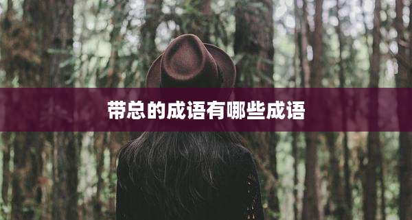 带总的成语有哪些成语