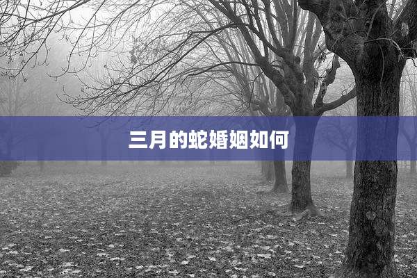 三月的蛇婚姻如何