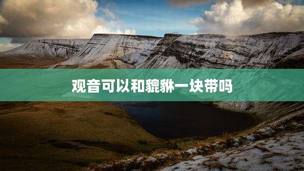 观音可以和貔貅一块带吗