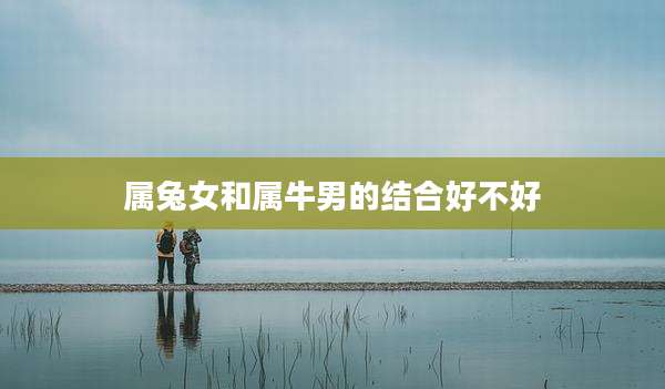 属兔女和属牛男的结合好不好