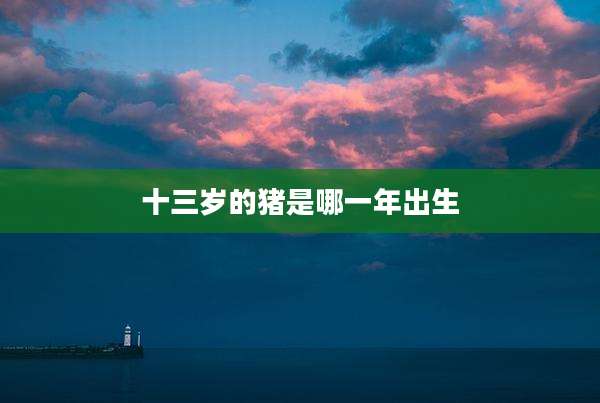 十三岁的猪是哪一年出生