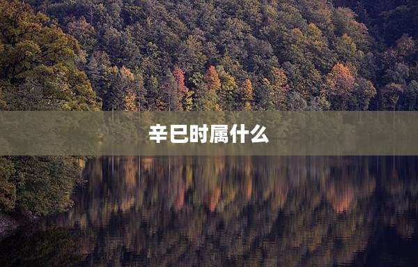 辛巳时属什么