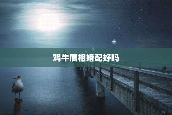 鸡牛属相婚配好吗