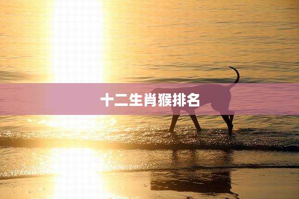十二生肖猴排名