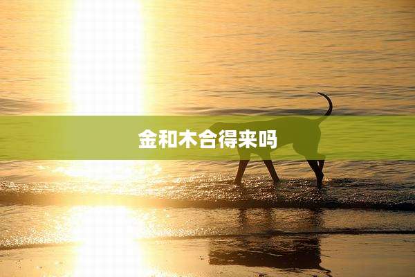 金和木合得来吗