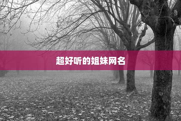 超好听的姐妹网名