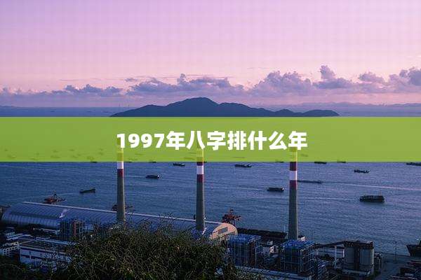1997年八字排什么年