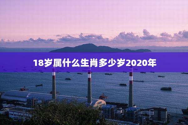 18岁属什么生肖多少岁2020年