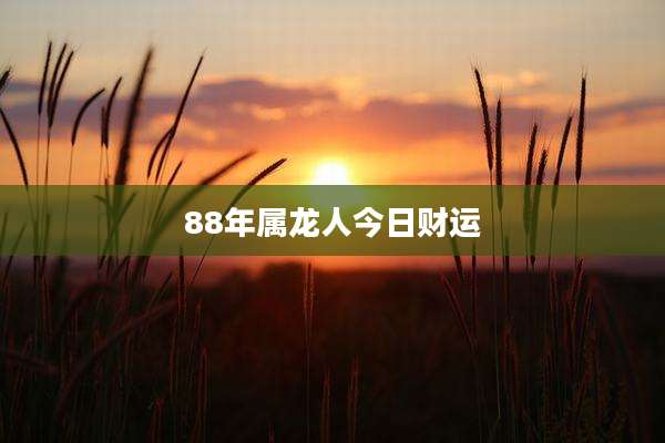 88年属龙人今日财运