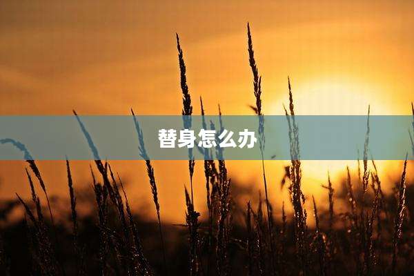 替身怎么办