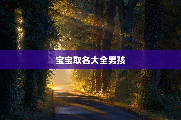 宝宝取名大全男孩