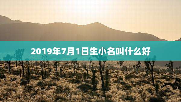 2019年7月1日生小名叫什么好
