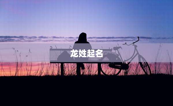 龙姓起名