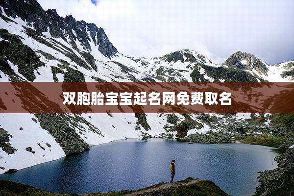 双胞胎宝宝起名网免费取名