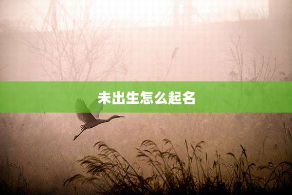 未出生怎么起名