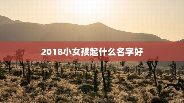 2018小女孩起什么名字好