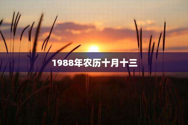 1988年农历十月十三