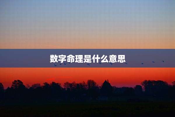 数字命理是什么意思
