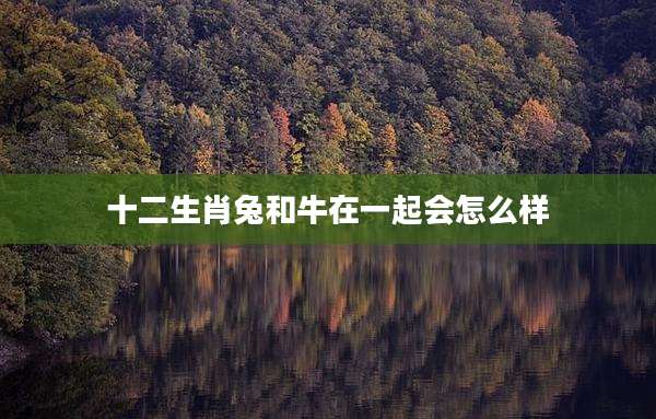 十二生肖兔和牛在一起会怎么样