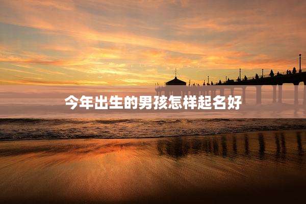 今年出生的男孩怎样起名好