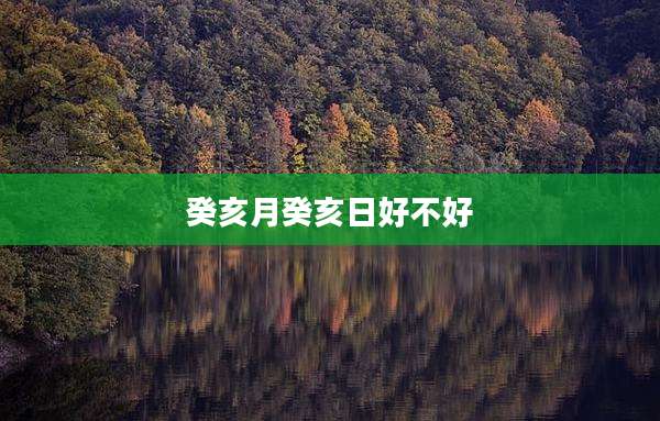 癸亥月癸亥日好不好