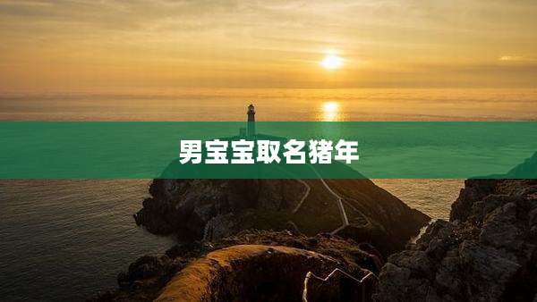 男宝宝取名猪年