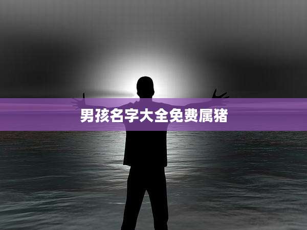 男孩名字大全免费属猪