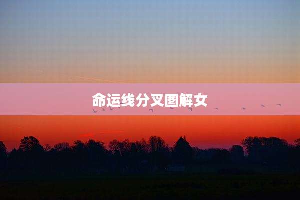 命运线分叉图解女