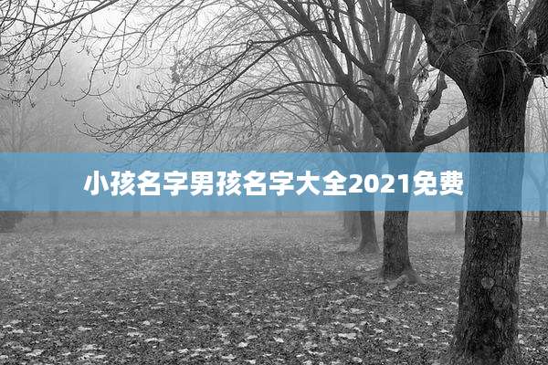 小孩名字男孩名字大全2021免费