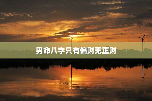 男命八字只有偏财无正财