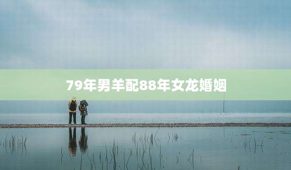 79年男羊配88年女龙婚姻