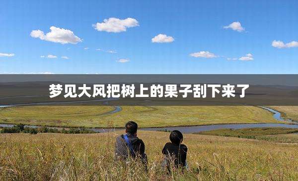 梦见大风把树上的果子刮下来了
