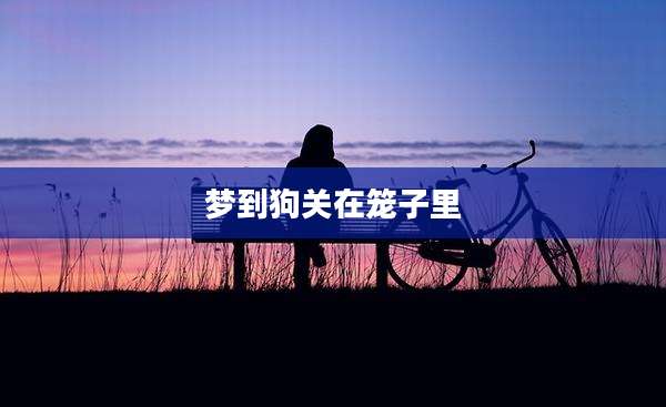 梦到狗关在笼子里