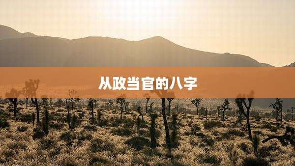 从政当官的八字
