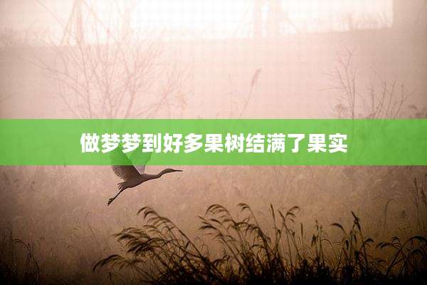 做梦梦到好多果树结满了果实