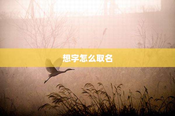 想字怎么取名