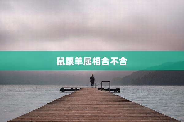 鼠跟羊属相合不合