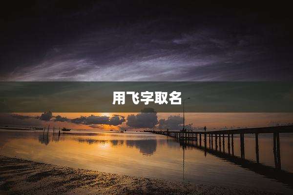 用飞字取名