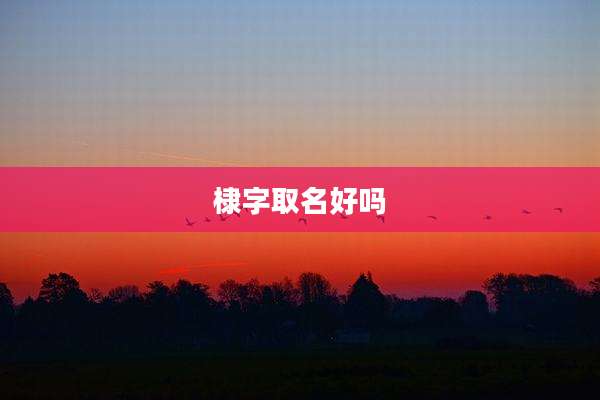 棣字取名好吗