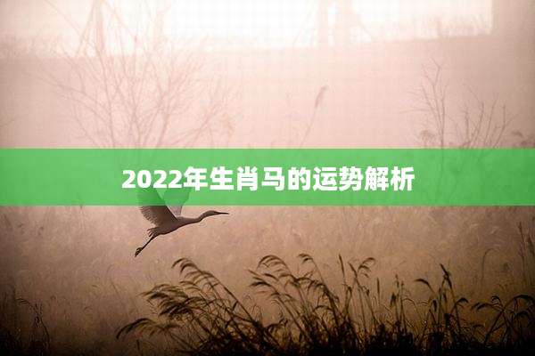 2022年生肖马的运势解析